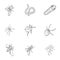 Beetle, wasp, bee, ant, fly, spider, mosquito and other insect species. Various insects set collection icons in outline