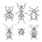 Beetles and bugs vector sketch illustration. Set of doodle hand drawn insects isolated on white background