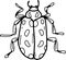 Beetles insects  separately on a white background coloring book for children sketch doodle hand