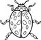 Beetles insects separately on a white background coloring book for children sketch doodle hand