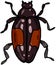 Beetles insects  separately on a white background coloring book for children sketch doodle hand
