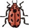 Beetles insects separately on a white background coloring book for children sketch doodle hand