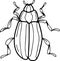 Beetles insects separately on a white background coloring book for children sketch doodle hand drawn