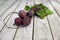 Beetroot bunch on white wood