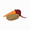 Beetroot, carrot and potato icon, cartoon style