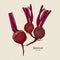 Beetroot, hand draw sketch vector