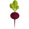 Beetroot icon, flat vector isolated illustration. Farm fresh vegetable. Healthy food.