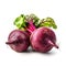 Beetroot isolated on white background with clipping path and full depth of field.