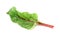 Beetroot leaf