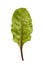 Beetroot leaf