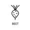 Beetroot Line Icon In Simple Style. Healthy Food. Natural Product. Vector sign in a simple style isolated on a white