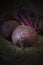 Beetroot, organic home grown, on a hay straw background.