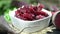 Beetroot Salad (loopable)