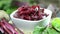 Beetroot Salad (not loopable)