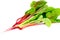 Beetroot Swiss Chard on a White Background