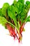 Beetroot Swiss Chard on a White Background