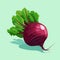 Beetroot vector illustration with green leaves on neutral background