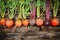 Beetroots on wooden background. Ripe yellow, orange and purple beets.