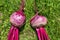 Beets. A group of freshly harvested root crops on grass