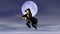 Befana on flying broom on the background of the full moon