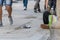 Beggar sitting in a pedestrian zone, Germany