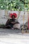 Beggar sleeps on the street of salvador