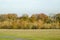 Beggarwood Park, Basingstoke on a sunny autumn day