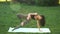 Beginner fitness woman performing yoga poses outdoors quickly giving up doing difficult exercise