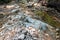 The beginning of autumn in nature, walking along the sources of a mountain river on a sunny day in a natural park.