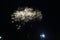The beginning of the fireworks splash lights in the dark black sky. first roses of fireworks