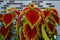 Begonia in flowerpot on wooden background. Genus of perennial flowering plants in the family Begoniaceae