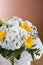 Begonia and gerbera flowers