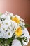 Begonia and gerbera flowers