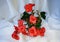 Begonia Solenia flowers on white background.