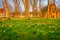 Beguinage yard with wildflowers at springtime, Bruges, Belgium