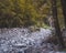 Behind the Christie Falls Parking (Milford Sound Highway, South Island, New Zealand)