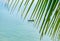 Behind palm leaves boat in the sea