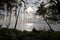 Behind the rainforest curtain to the sea at Beqa Island, Fiji