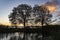 Behind these two trees on the water of lake Zoetermeerse Plas, the sun is just rising on the horizon and shines beautifully on the