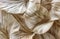 Beige Aesthetic Dried Leaves Delicate Background. Soft Wallpaper Texture of Transparent Macro Paper Leaves.