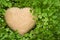 Beige beaded heart hidden in maidenhair fern. Love concept
