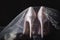 Beige bridal shoes are veiled.