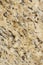 Beige and Brown Granite Surface Texture