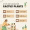 Beige and Brown Playful Minimalist Tips on Caring Cactus Plants Instagram Post