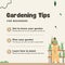 Beige and Brown Playful Minimalist Tips on Gardening for Begginers Instagram Post