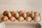 Beige chicken eggs in a carton. Vegetarian natural eco products. Food Gradient