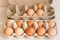 Beige chicken eggs in a carton. Vegetarian natural eco products. Food Gradient