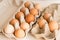 Beige chicken eggs in a carton. Vegetarian natural eco products. Food Gradient