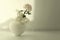 Beige chrysanthemums and gypsophila  flower in white vase on white interior. Minimalist still life. Light and shadow nature