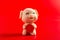 Beige color cute pig mascot for the new year 2019 on red background translation for the Chinese in English is bring in wealth